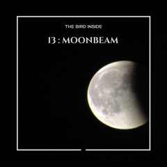 MEDITATION 13 : MOONBEAM
