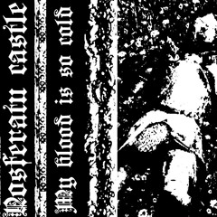 Nosferatu castle-glass in honor of victory