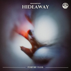 Sean Bartley - Hideaway