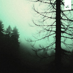 xerum - the lights will guide me home