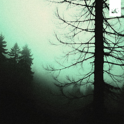 xerum - the lights will guide me home