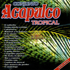 Cangrejito Playero