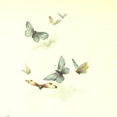april new moon 21
