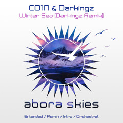 CO1N & Darkingz - Winter Sea (Darkingz Orchestral Mix)