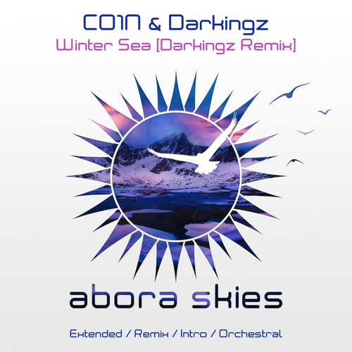 CO1N & Darkingz - Winter Sea (Darkingz Orchestral Mix)