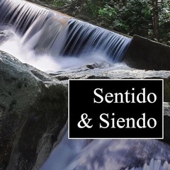 ⚡Audiobook🔥 Sentido & Siendo (Spanish Edition)