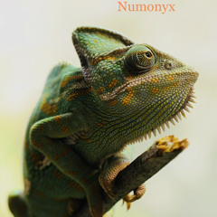 Chameleon