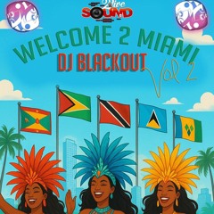 Welcome 2 Miami Vol 2 - Dj Blackout