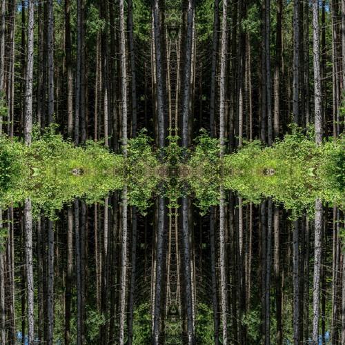 Time Oscillator