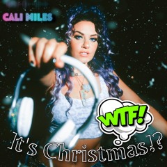 WTF! It's Christmas!?