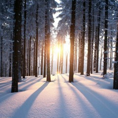 Winter Solstice 2022