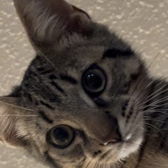 Do you? (Prod.1jowisen)