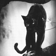 IN MEMORY ( JC DJ ) por siempre animal…😇🐆💔