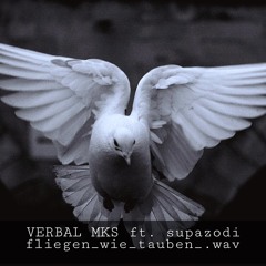 Fliegen wie Tauben ft. Verbal MKS