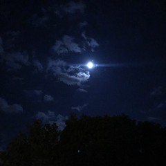 إن مسنا الضر أو ضاقت بنا الحيل قصيدة القاضي محمد بن علي بن عمر الضمدي - طه الفهد