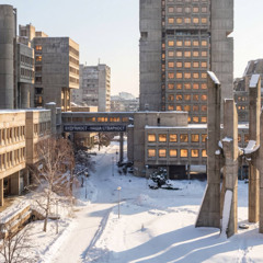 Brutalist Society w/ Audiomatica Systems (08.01.2026)