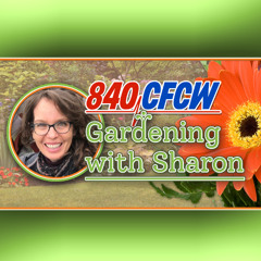 Gardening with Sharon - November 13 - Reflecting On This Years' Garden