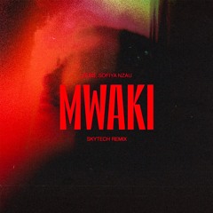 Zerb - Mwaki (feat. Sofiya Nzau) (Skytech Remix) (OUT NOW)