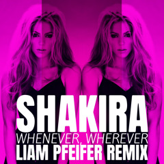Shakira - Whenever, Wherever (Liam Pfeifer Remix)