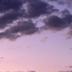 Surrendered | Version 1.0