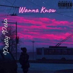 Wanna Know (p. Rude Boy)