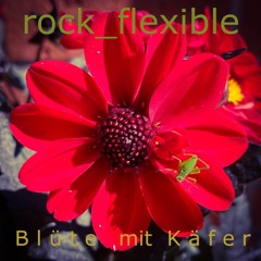 Blüte mit Käfer - Rock Flexible