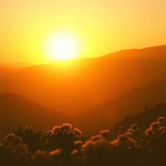 Love Is Like The Sun (Original Mix)