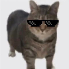 OIA Cat - Techno Remix 2024