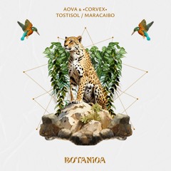 LTR Premiere: AOVA, ·Corvex· - Maracaibo (Original Mix) [Botanica]