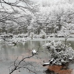 Paisaje Sonoro Viaje Nativos Mayo 22. Parque Kaikén