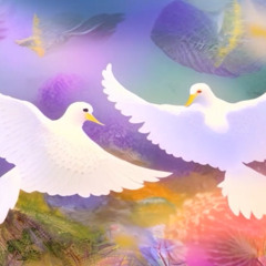 Doves (Gelo Drizz & AkaTony)