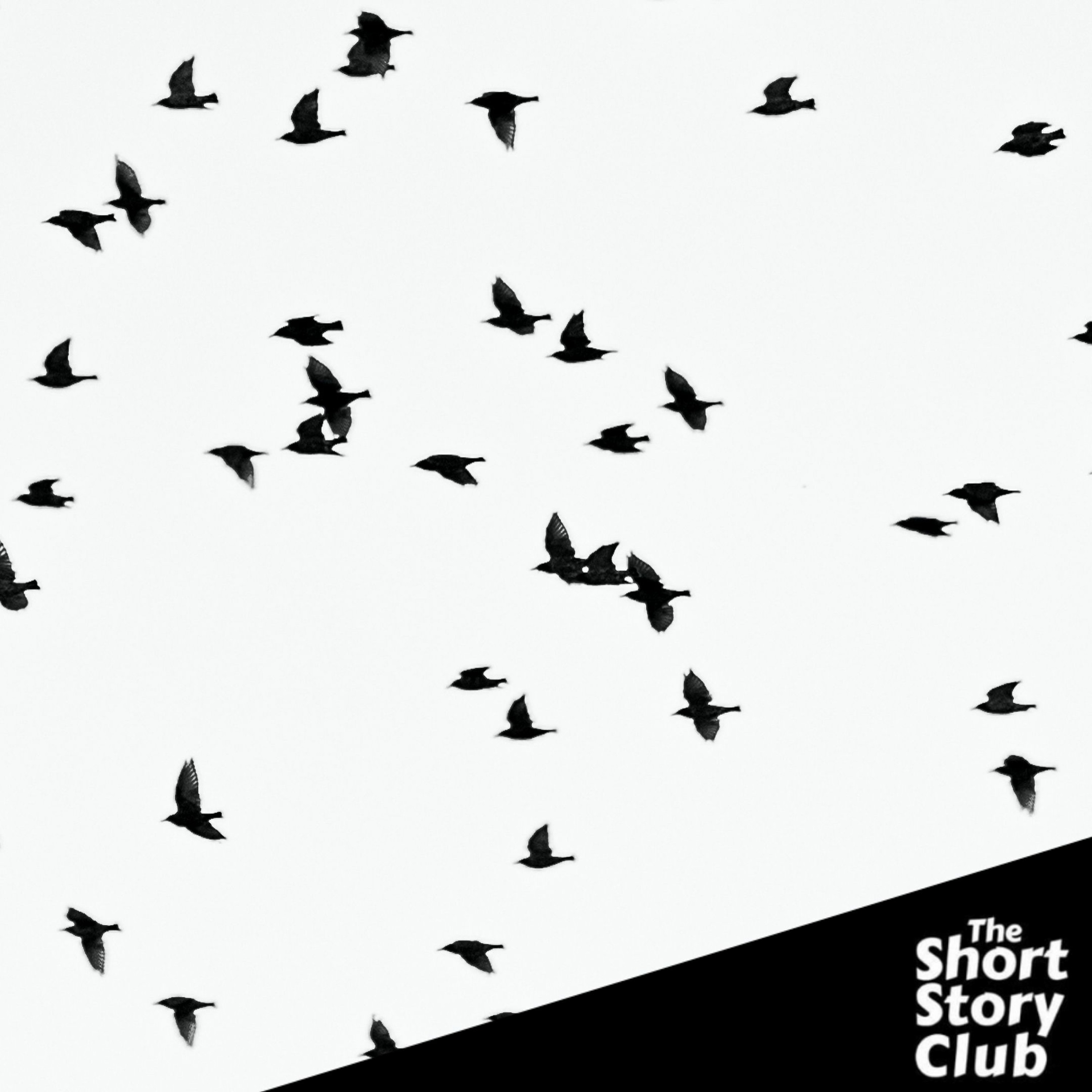 Yarra Libraries Podcast