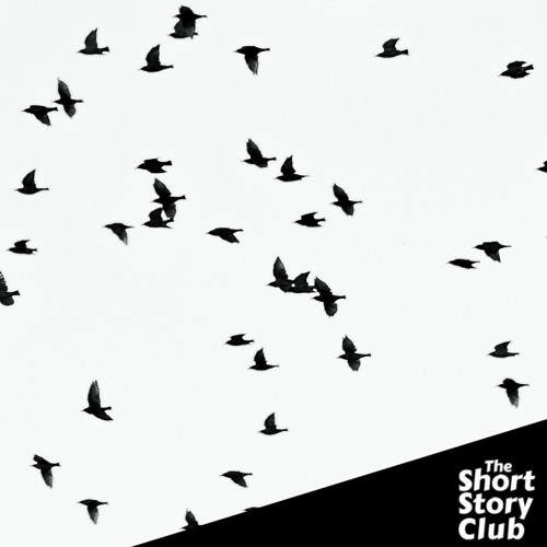 Stream The Short Story Club: Daphne Du Maurier's "The Birds" by Yarra  Libraries | Listen online for free on SoundCloud