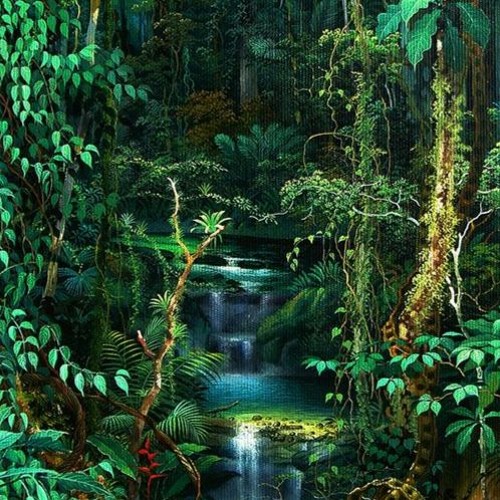 Stream Welcome To The Jungle by Dj RAST | Listen online for free on ...