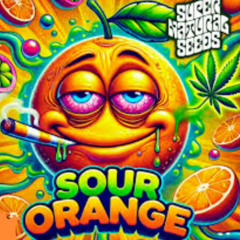 DAFX-SOUR ORANGE GROOVY (IT?AT GSF 01)