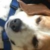 FouriiiiRadio Ep. 28