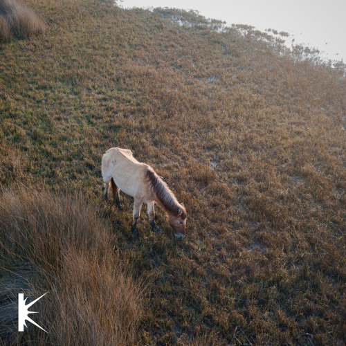 KLUSTERKAST_26 | Akaks