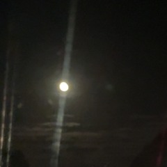 exotic prod [saiikazee]