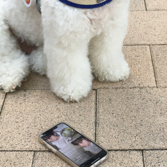 [cover] Season in the Sun