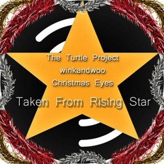 Christmas Eyes - THE TURTLE PROJECT & winkandwoo
