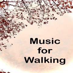 Music for Walking (RoyRoy)