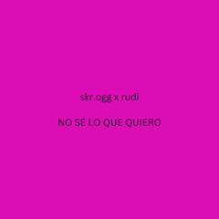 No sé lo que quiero (ft. Rudi)