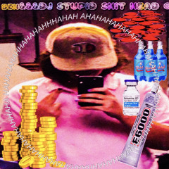 DJ STUPID SHIT HEAD RETURNS: BANGERFEST 2