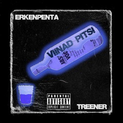 VIINAD PITSI x Treener