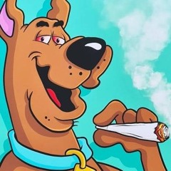 VAMOS PULAR NO SÃO JOÃO E NO LINS AO MESMO TEMPO 🇮🇱 (Tropa do Scooby) {MORRO DOS MACACOS} T.C.P