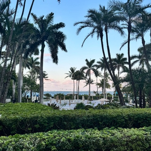 FATCHΣΧD IN MIAMI