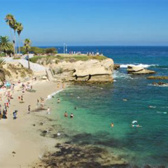 Best Snorkeling San Diego La Jolla Prices Reviews
