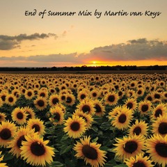 End of Summer Mix 2025 (emotional progressive and melodic techno tracks)