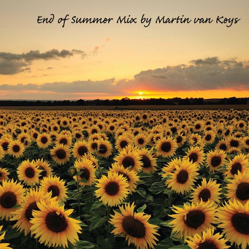 End of Summer Mix 2025 (emotional progressive and melodic techno tracks)