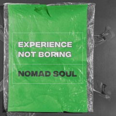 NOMAD SOUL - EXPERIENCE NOT BORING